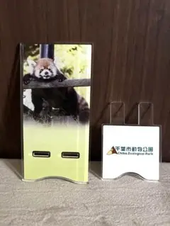 千葉市動物公園　レッサーパンダ　メイタ　アクリルスマホスタンド　新品未使用品