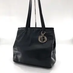 クリスチャン ディオール トロッター金具 オールレザー ショルダーバッグ