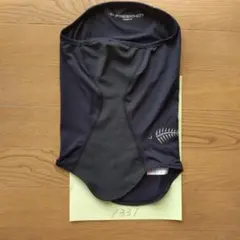 Item thumbnail for item 243ddd8c-f66c-4b5e-b66c-fc3b12c4a693