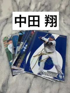 中田翔　１０枚セット