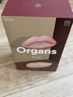 DOIY ドーイ Organs 収納ボックス