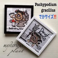 限定1セット★でかサイズ！フレーム付き★イラスト【グラキリス】