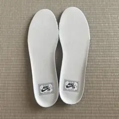 【中敷】NIKE SB