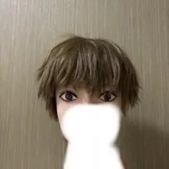 ファッションウィッグ