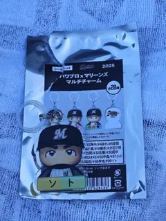 千葉ロッテマリーンズ パワプロマリーンズ マルチチャーム