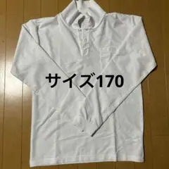 Item thumbnail for item 89848b68-1b32-48af-9ceb-706c570d41e8