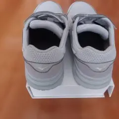 Item thumbnail for item a1efa255-f9db-4987-b751-3836e1d2447a