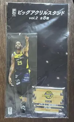 B.LEAGUE ビッグアクリルスタンド　D.J.ニュービル