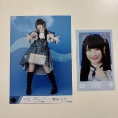 櫻井もも 生写真+ミニフォトカード