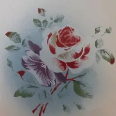 専用