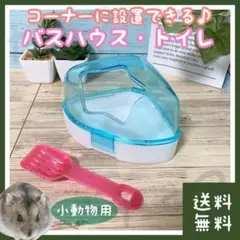 Item thumbnail for item 4e2fb350-37f4-4c99-a31d-9faa9bcd1433