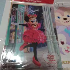 ミニークリアファイルセット