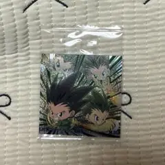 HUNTER×HUNTER ウエハースシール ゴン 念レア極