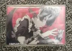 【公式正規品】ゼンゼロ　影画シリーズ　アクリルボード　エレン