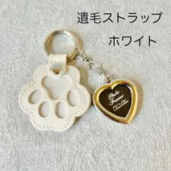 Item thumbnail for item 747171f1-8cbc-4016-964b-a98922957f13