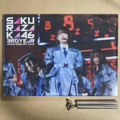 櫻坂46 ライブフォトアクリルプレート