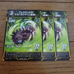 蟲神器 R アレクサンドラトリバネアゲハ(幼虫) 3枚セット