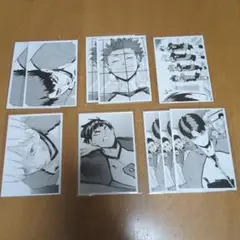 ハイキュー 10thクロニクル 思い出スナップフォトカード