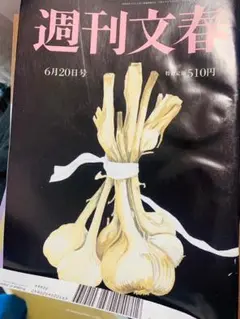 週刊文春 6月20日号 ミスチル 桜井和寿