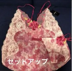 サルート　大西洋【激レア②点セット♡新品タグ】サルート　マディラ♡サルート　63 ワコール【サルート63G大西洋マディラ】ブラ＆ノーマルショーツ