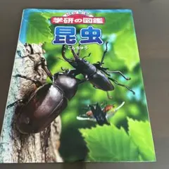 ニューワイド 学研の図鑑 昆虫