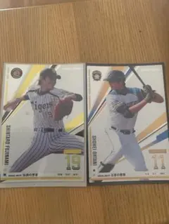 Item thumbnail for item ce92485e-bdcb-4e01-aeec-0fcddb81cb1a