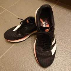 Item thumbnail for item 825e139e-4473-4a11-a4c9-ff9a4ee531ac