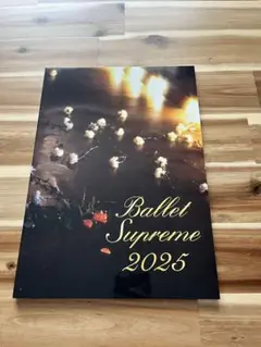 Ballet Supreme 2025 プログラム