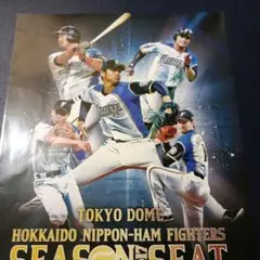2025年最新】日本ハム 大谷 ポスターの人気アイテム - メルカリ