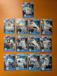 埼玉西武ライオンズ ジュニア会員 来場記念カード 13枚セット