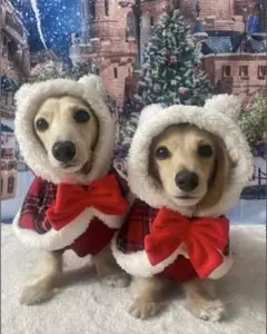 Item thumbnail for item 55c11f06-c376-4c30-9c4e-82cf36d72252