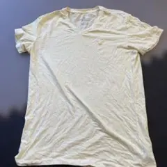 アメリカンイーグル Tシャツ