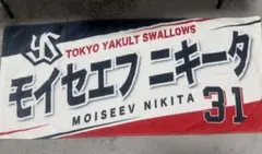 モイセエフニキータ タオル