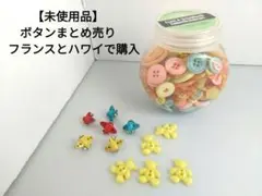 【未使用品】ボタンまとめ売り　フランスとハワイで購入