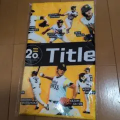 SALE中⭐︎ソフトバンクホークス 20周年記念タオル　②