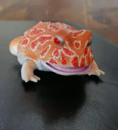 バンダイガシャポンいきもの大図鑑 ツノガエル　ストロベリー