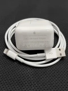 たかちゃんさん専用Apple充電アダプター＆lightningケーブル2セット