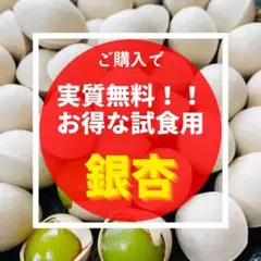 もちもちu0026むちむち ご購入で実質無料! 試食用銀杏 ぎんなん