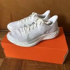 NIKE ペガサスプラス 25.5cm