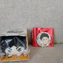 ハイキュー!! 極楽湯 岩泉一　お風呂　缶バッジ ポラショット　もちころりん