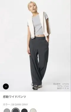 感動ワイドパンツ ダークグレー WOMEN S