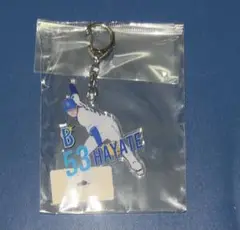 横浜DeNAベイスターズ 中川颯 颯 アクリルキーホルダー