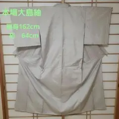 521番 本場大島紬 白大島 白泥 肩身162cm 裄64cm