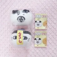 ナガノキャラクターズ もっちるフェイスマスコット パグ キョンシー
