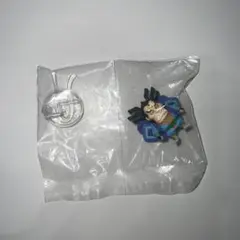 ワンピの実　雷ぞう　未開封