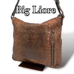 ▼ Bag Liore オーストリッチハンドバッグ バグリオ Bag Liore オーストリッチ ハンドバッグ : なんでも