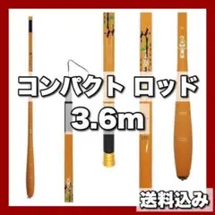 【⭐️ラスト1点⭐️】釣り竿 軽量 延べ竿 カーボンストリームロッド 魚