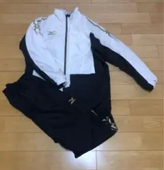 Item thumbnail for item 7906dd15-47dd-42bd-8194-f3044c73efc5