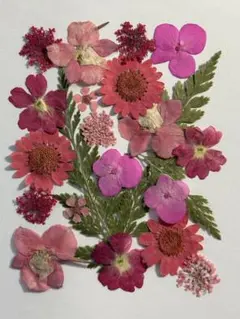 押し花素材パック　ピンク系ミックス　21個入 No1094