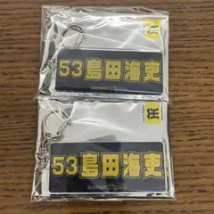 【2点セット】 島田海吏 2025 阪神タイガース シークレットキーホルダー